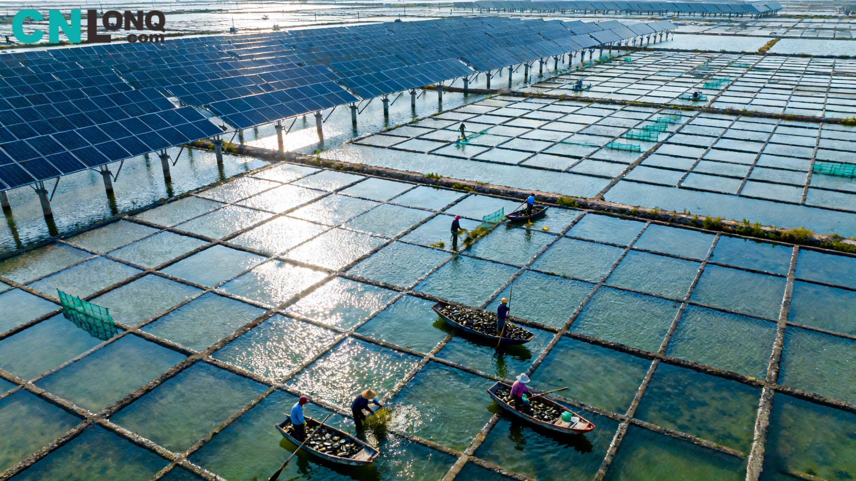 RMB 1.2 பில்லியன் மொத்த முதலீடு! Xindao Qingkou சால்ட் ஃபீல்ட் 250MW 